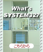 SYSTEM32Ƃ́H